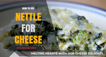 Nettle and Cheese: A Tasty, Healthy Pairing