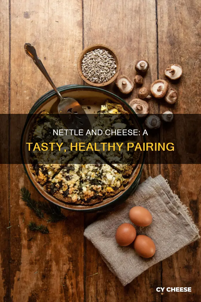 how to use nettle for cheese