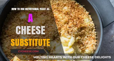 Nutritional Yeast: The Perfect Cheese Substitute