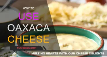 Oaxaca Cheese: Melting, Grating, and Frying