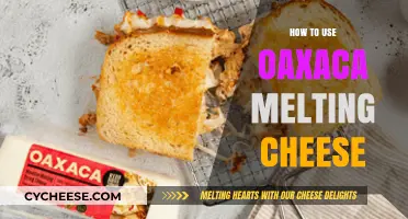 The Ultimate Guide to Oaxaca Melting Cheese