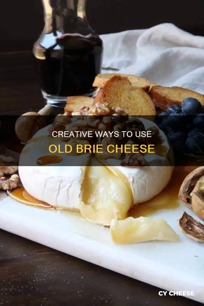 how to use old brie cheese