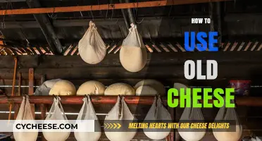 Creative Ways to Use Old Cheese