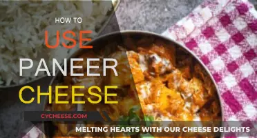 Delicious Ways to Use Paneer Cheese