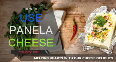 Panela Cheese: Best Ways to Use It