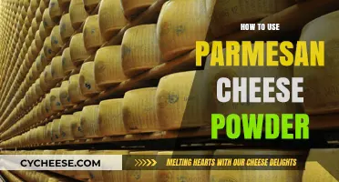 The Magic of Parmesan Cheese Powder