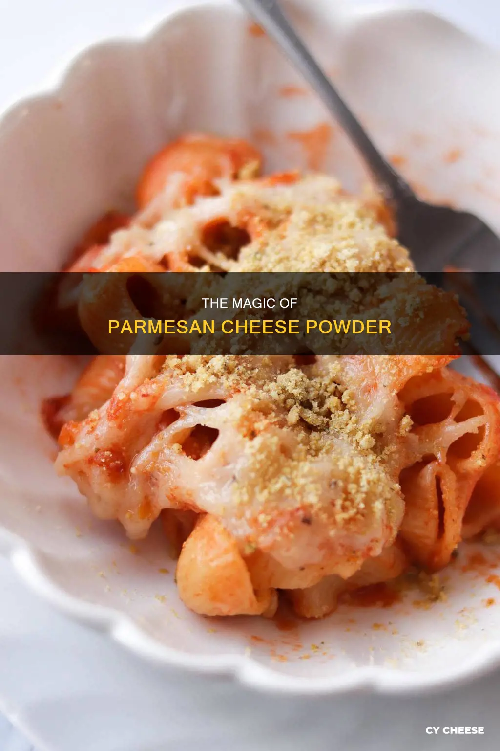 how to use parmesan cheese powder