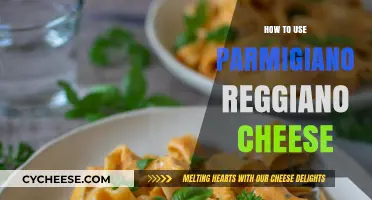 The Magic of Parmigiano Reggiano: A Guide to Using It