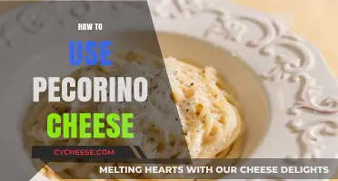 Pecorino Cheese: Best Ways to Use It