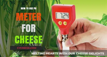 Cheese pH Meter: A Guide to Using It