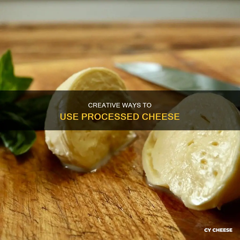 how to use process cheese