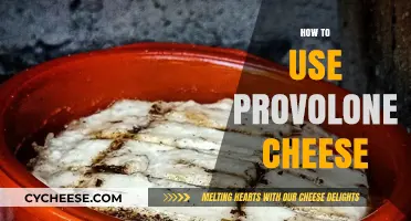 Cheesy Delights: Provolone's Versatile Uses