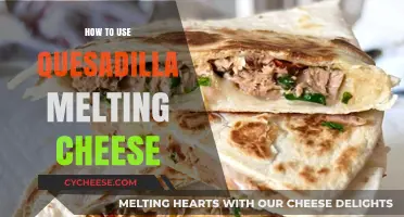 Creative Quesadilla Melting Cheese Recipes