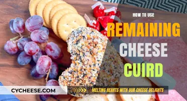 Creative Ways to Use Leftover Cheese Curds