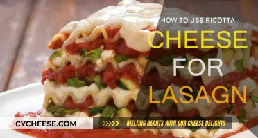 The Best Ricotta Cheese for a Delicious Lasagna