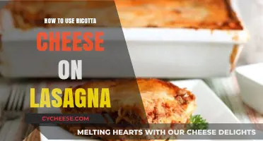The Ultimate Ricotta Cheese Lasagna Guide