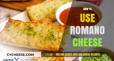 Romano Cheese: The Ultimate Guide to Using It