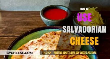 Salvadorian Cheese: Creative Culinary Uses