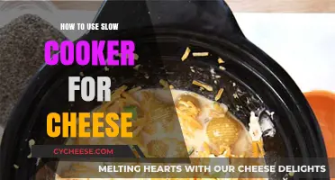 The Ultimate Slow Cooker Guide for Cheesy Delights