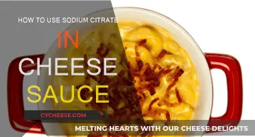The Magic of Sodium Citrate in Cheese Sauce