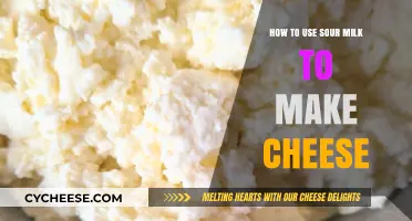 Sour Milk Magic: Homemade Cheese