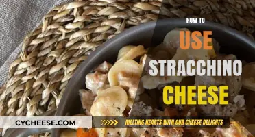 Delicious Stracchino: Creative Ways to Use This Cheese