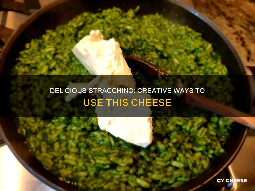 how to use stracchino cheese
