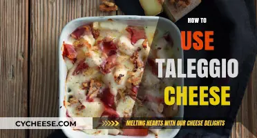 Explore Taleggio: The Ultimate Guide to Using This Cheese