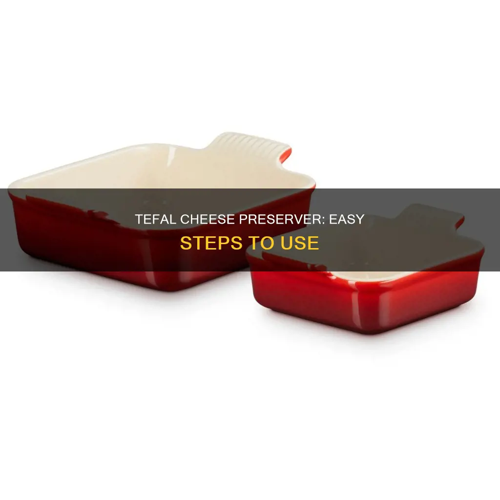 how to use tefal cheese preserver