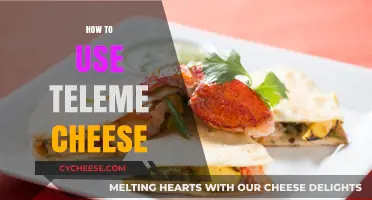 Explore the Versatile Uses of Teleme Cheese