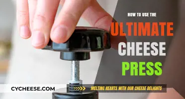 Cheese Press Mastery: The Ultimate Guide