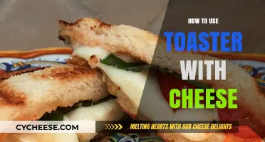 Toasty Cheese: A Quick Guide to Melty Deliciousness