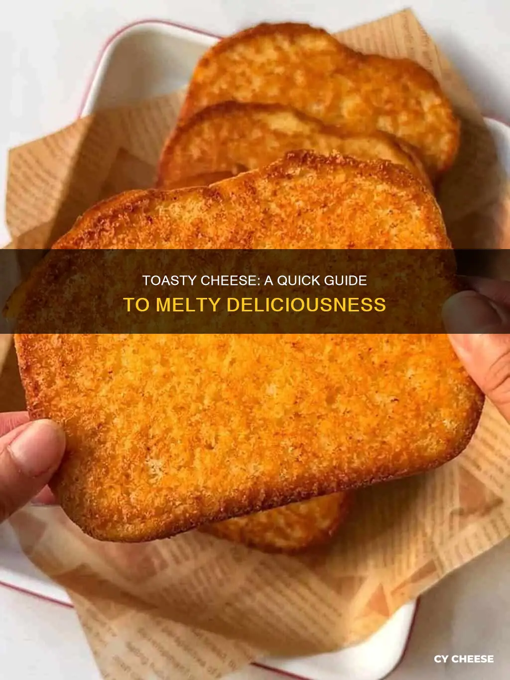 how to use toaster with cheese