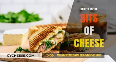 Cheese Bits: Creative Ways to Use Them Up