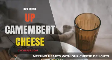 Creative Ways to Use Up Camembert Cheese