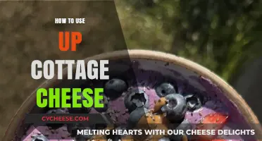 Creative Ways to Use Up Cottage Cheese in Delicious Recipes