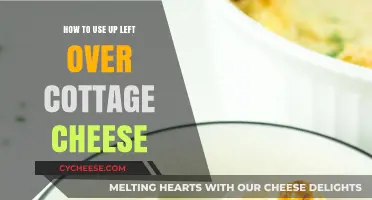 Creative Ways to Use Leftover Cottage Cheese in Your Kitchen