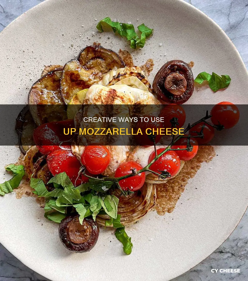 how to use up mozarella cheese