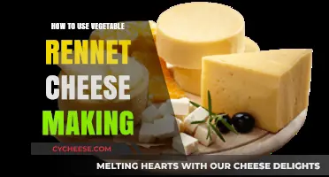 Rennet's Role: Vegetable Rennet for Cheese Making