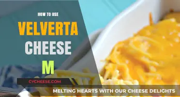 Velveeta Cheese: Ultimate Guide to Using It