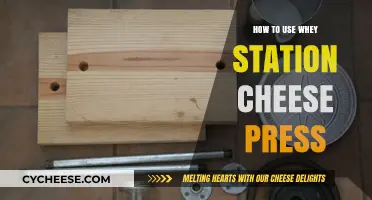 Cheese Pressing Made Easy: Whey Station Guide
