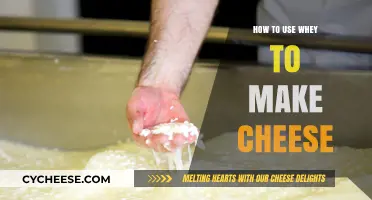 The Magic of Whey: Making Cheese Simplified