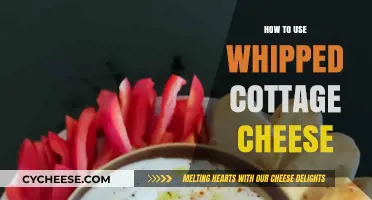 Creative Ways to Use Whipped Cottage Cheese in Your Daily Meals