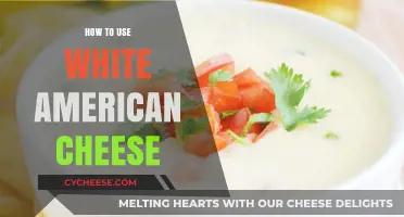 American Cheese: Ultimate Topping and Filling for Your Meals