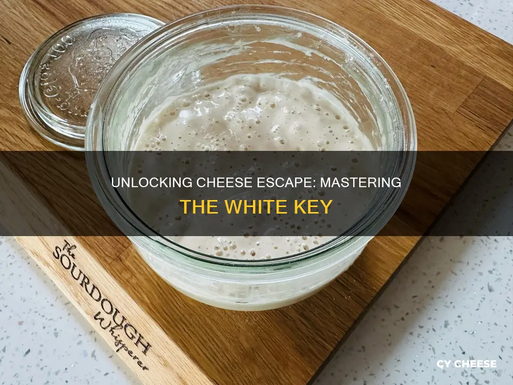 how to use white key in cheese escape