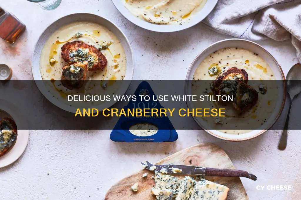 how to use white stilton cheese with cranberries