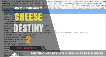 Cheating Destiny 2: Wireshark Strategies for Victory
