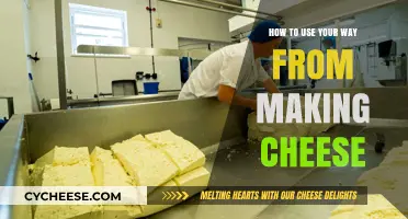 The Art of Cheese-Making: A Beginner's Guide
