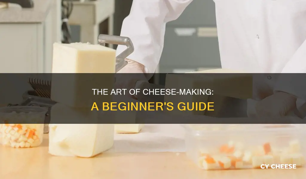 how to use your way from making cheese