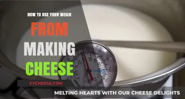 Cheese Weights: Creative Uses for Your Homemade Dairy